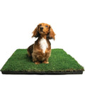 BETHEL Gotta Go Grass - Real Grass Dog Potty Pad with Tray, Indoor/Outdoor Natural Reusable Puppy Pee Pads, Fresh Patch for Puppy Potty Training & Dog Accessories- 2 Pack (16" x 24") - size: 2 Pack, With Tray
