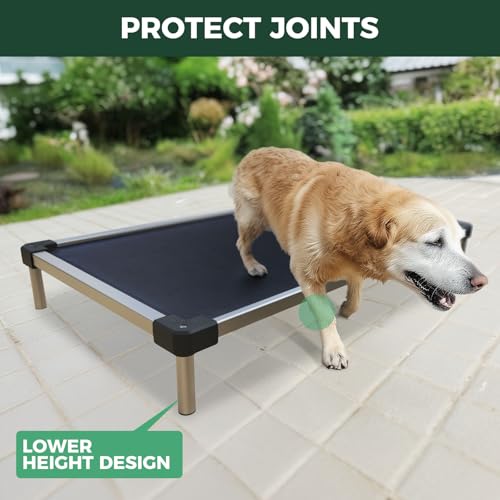 FXW TitanNest Chew-Proof Elevated Dog Bed, Raised Cot for Indoor/Outdoor/Camping Use, Durable & Waterproof Cooling Pet Bed for Extra Large Dogs, 56.0" L x 31.0" W x 7.3" H, Black - size: X-large Dog (56.0"l X 31.0"w X 7.3"h)