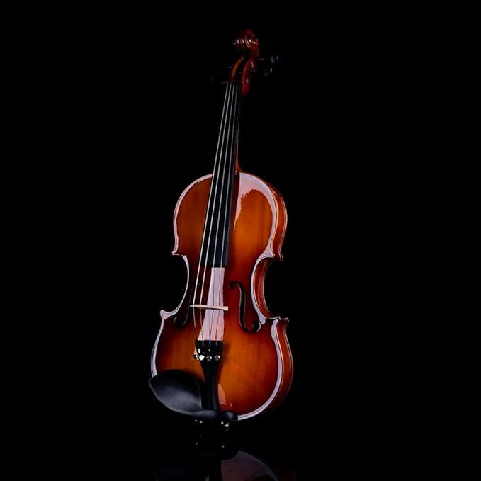 Rhythm Violin Set for Beginners,Acoustic Violins Starter Kit Package for Student,Beginners Fiddle with Hard Case, Rosin, Shoulder Rest, Bow, and Extra Strings (NATURAL, 3/4)