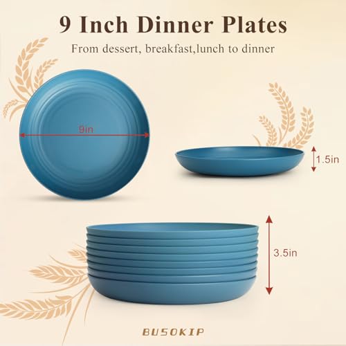 Deep Dinner Plates 9 Inch, Plastic Plates Reusable, Unbreakable Wheat Straw Plates Set of 8, Microwave & Dishwasher Serving Plate for Holiday, Party, Restaurant, Camping - Blue - color: Blue, size: 9 inch
