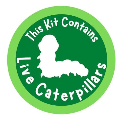 Insect Lore Cup of Caterpillars - 5 Live Painted Lady Caterpillars with Food - Refill for Butterfly Garden Kit - Stickers & Chrys-A-Lid Holding Log Included - STEM Learning Activity