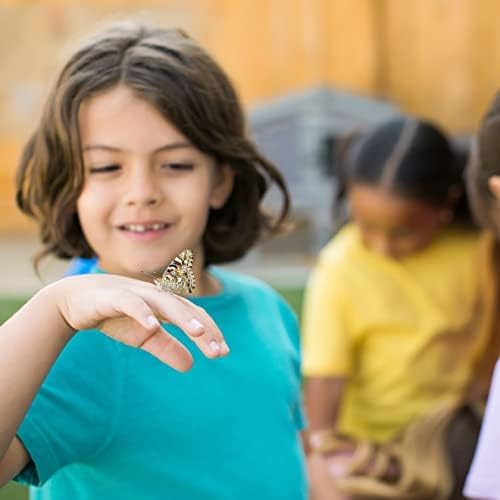 Insect Lore Butterfly Garden with Live Cup of Caterpillars | English and Spanish STEM Activity Journals | 5 Painted Lady Butterfly Baby Caterpillars and Mesh Habitat