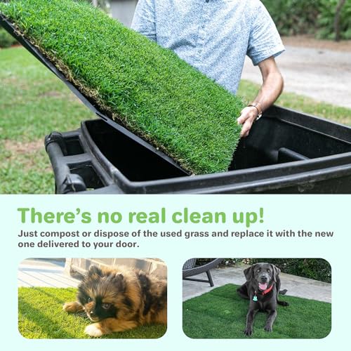 Gotta Go Grass - Real Dog Grass for Pet Training, Natural Grass Patch Potty, Refill Dog Grass Pad, Puppy Potty Training, Dog Accessories, Perfect Indoor/Outdoor Portable Potty, Pet Loo (16" x 24") - size: 1 Pack, Refill (no tray)