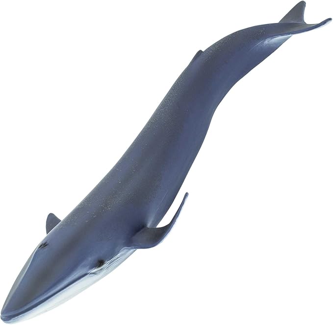 Safari Ltd. Blue Whale Figurine - Detailed 11" Plastic Model Figure - Fun Educational Play Toy for Boys, Girls & Kids Ages 3+