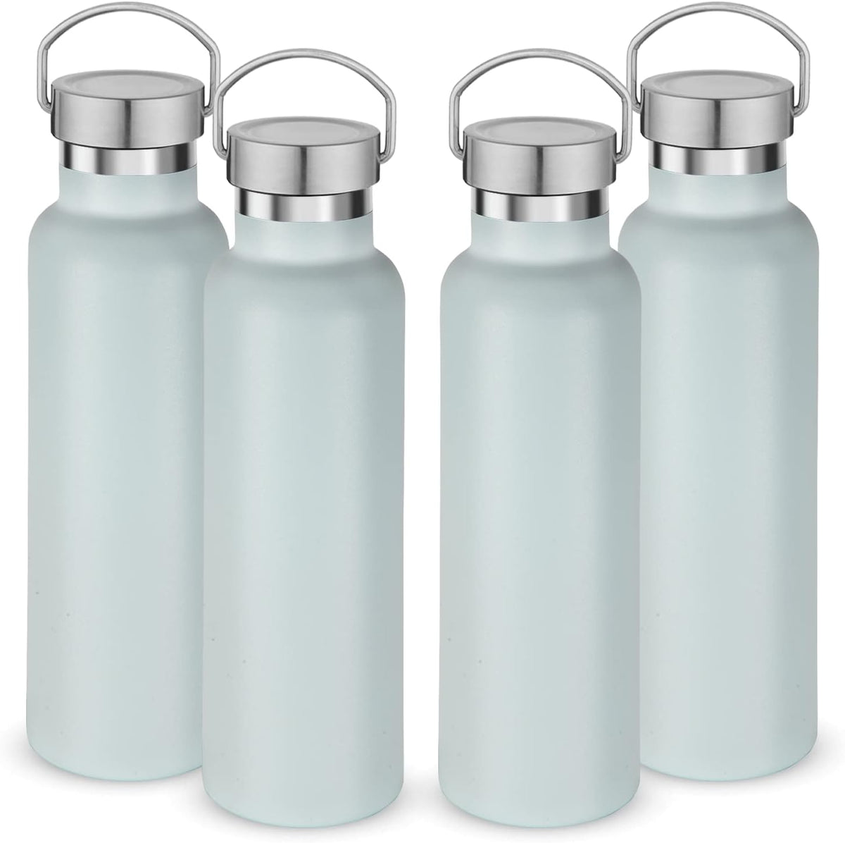 Neihepal 20 oz Insulated Water Bottles Bulk 4 Pack,Stainless Steel Double Wall Sport Bottle with Lid of Handle,Metal Reusable Thermoses Flask with Cup Cap for School,Hikers,Gift (Fog,Set of 4)