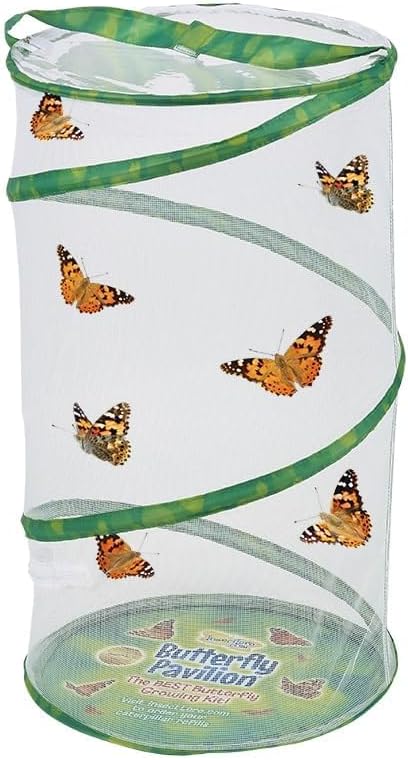 Insect Lore School Kit Refill with 33 Live Caterpillars - STEM Activity Journal & 33 Live Baby Painted Lady Butterfly Caterpillars - Cups & Tools Included