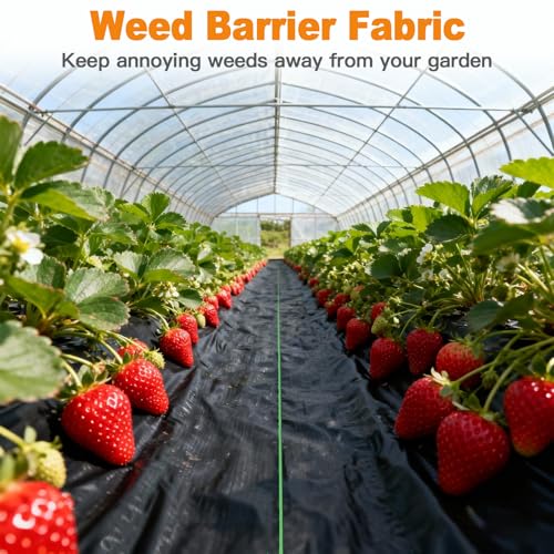AMAGABELI GARDEN & HOME 6ft x 300ft Weed Barrier Landscape Fabric 3.2oz Garden Cloth Heavy Duty Weed Control Blocker Mat Gardening Ground Cover Non Woven Geotextile Block Fabric Driveway Underlayment - size: 3.2oz-6x300ft