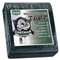 CARTMAN Finished Size 20x20 Feet Waterproof Green Tarp 8 Mil Thick, Multipurpose Protective Cover for Emergency Rain Shelter Camping Tarpaulin - size: 20'×20'