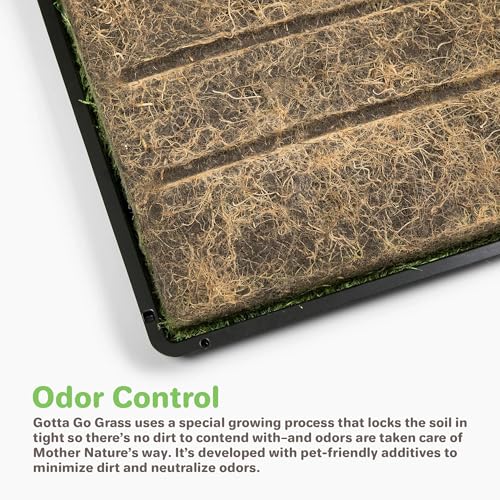 Gotta Go Grass - Real Dog Grass for Pet Training, Natural Grass Patch Potty, Refill Dog Grass Pad, Puppy Potty Training, Dog Accessories, Perfect Indoor/Outdoor Portable Potty, Pet Loo (16" x 24") - size: 1 Pack, Refill (no tray)