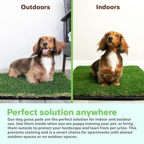 Gotta Go Grass - Real Dog Grass for Pet Training, Natural Grass Patch Potty, Refill Dog Grass Pad, Puppy Potty Training, Dog Accessories, Perfect Indoor/Outdoor Portable Potty, Pet Loo (16" x 24") - size: 1 Pack, Refill (no tray)