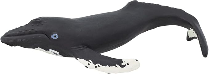 Safari Ltd. Humpback Whale Figurine - Detailed 7" Plastic Model Figure - Fun Educational Play Toy for Boys, Girls & Kids Ages 1+