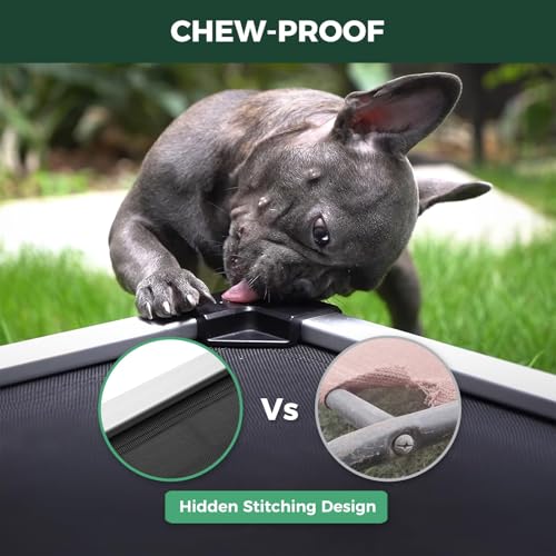 FXW TitanNest Chew-Proof Elevated Dog Bed, Raised Cot for Indoor/Outdoor/Camping Use, Durable & Waterproof Cooling Pet Bed for Toy Dogs, 23.0" L x 17.0" W x 4.1" H, Black - size: Xxs-toy Dog (23.0"l X 17.0"w X 4.1"h)