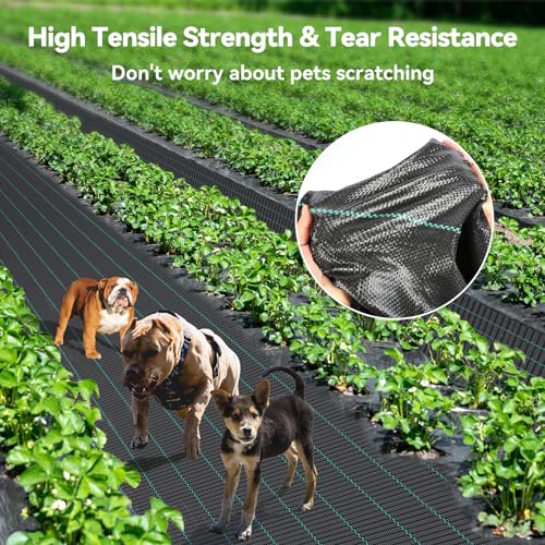 iropro 6ftx300ft Landscape Fabric 3.2oz Weed Barrier Fabric, Woven Weed Barrier Fabric Heavy Duty, Weed Control Cloth Geotextile for Underlayment, Gardening, Commercial Driveway Weed Block Cover Mat - size: 6ft x300ft