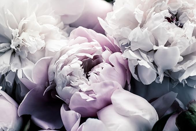 Light Purple Peony Floral Wallpaper Rose Flower Mural Large Wall Decor for Living Room Bedroom Dining Room Office(Not Self-Adhesive)