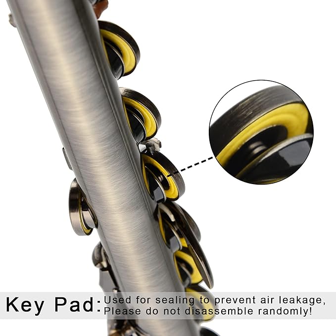 EASTROCK Closed Hole Flutes C 16 Key for Beginner, Kids, Student -Antique Flute with Case Stand and Cleaning kit