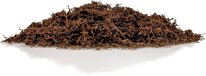 Premium New Zealand Tree Fern by GARDENERA - Orchid and Epiphytal Plants Growing Medium and Reptile Substrate - 5 Quart Bag