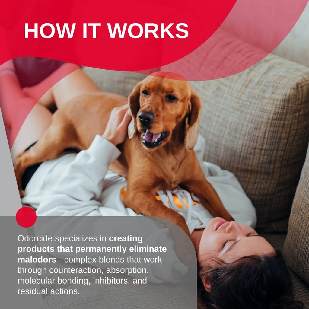 Odorcide Odor Eliminator Concentrate: Odor Eliminator for Strong Odor on Carpets, Hardwood & More - Smoke, Sweat & Pet Odor Eliminator for Home w/Non-Enzymatic Formula, 1 Gallon