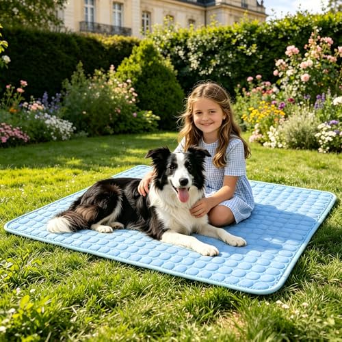 SOMOYA Dog Cooling Mat (Q-Max>0.4) Pet Cooling Pads Blanket Sleeping Kennel Mat,Ice Silk Cool Mat Pad Breathable Dog Bed Mats Beach for Large Dogs Cats (Blue, 27x22 in) - color: Blue, size: 22x27 in