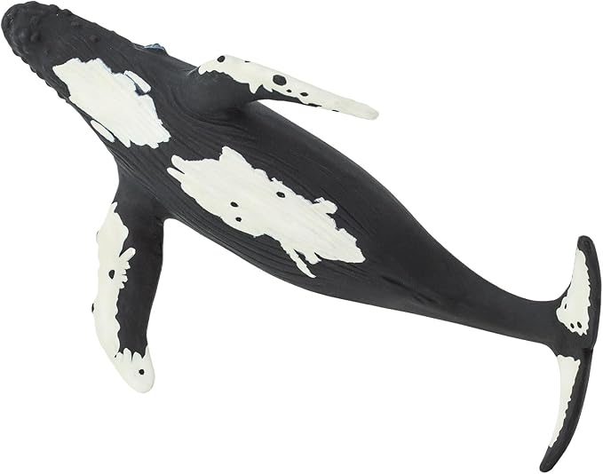 Safari Ltd. Humpback Whale Figurine - Detailed 7" Plastic Model Figure - Fun Educational Play Toy for Boys, Girls & Kids Ages 1+