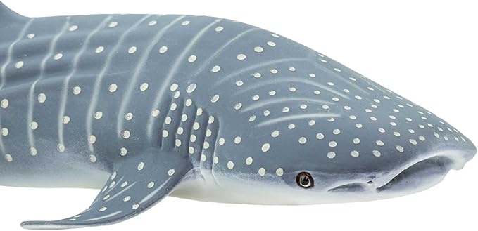 Safari Ltd. Whale Shark Figurine - Detailed 7.25" Aquatic Figure - Educational Toy for Boys, Girls, and Kids Ages 3+