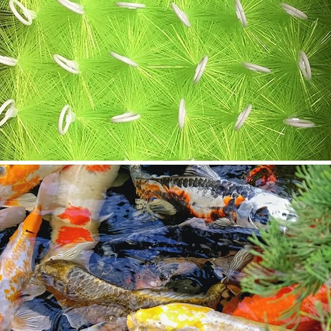 50 Packs Filter Brushes Aquarium Brushes Set for Koi Pond Water Garden Outdoor Pond Skimmers Brush Filter Cleaning Brush 31.5 Inch by 4.7 Inch (Green)