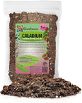 Premium Caladium Plant Soil Mix by Gardenera - Stimulate Growth and Elevate Leaf Color with Nourishing Formula - 5 Quart