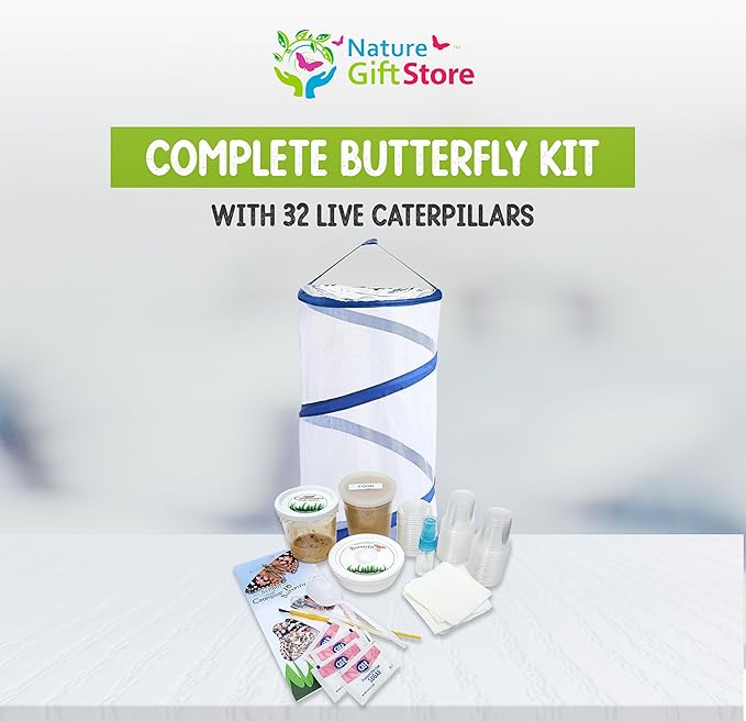 Nature Gifts Live Butterfly Kit - School-Sized Educational Experience with 32 Painted Lady Caterpillars - Pop-Up Cage, and Comprehensive Rearing Supplies for Classroom Engagement, 32 Small Cups