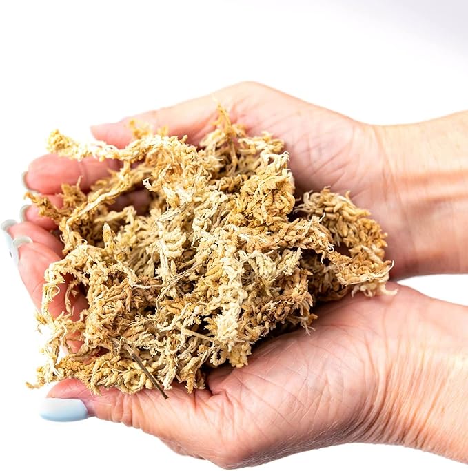 Gardenera Ixora Potting Mix - Promote Strong Roots and Abundant Flowers with Our Premium Blend - 4 Quart