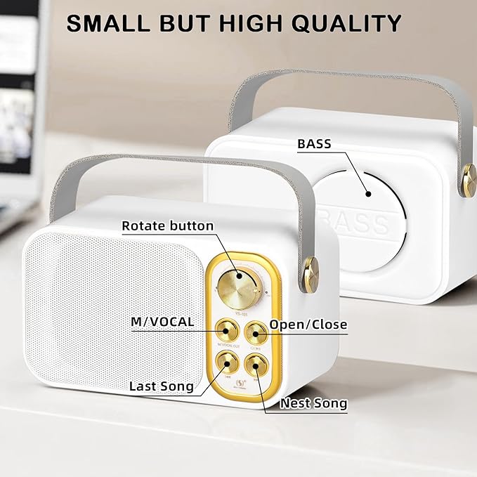Mini Karaoke Machine for Kids Adult, Portable Bluetooth Karaoke Speaker with 2 Wireless Microphones for Home Party, Great Gifts for Boys and Girls Ages 4, 5, 6, 7, 8,9,10,11, 12+ Years Old