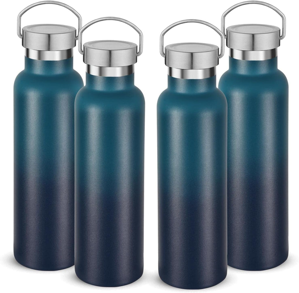 Neihepal 20 oz Insulated Water Bottles Bulk 4 Pack,Stainless Steel Double Wall Sport Bottle with Lid of Handle,Metal Reusable Thermoses Flask for School,Cyclists,Hikers,Gift (Dark Night,Set of 4)