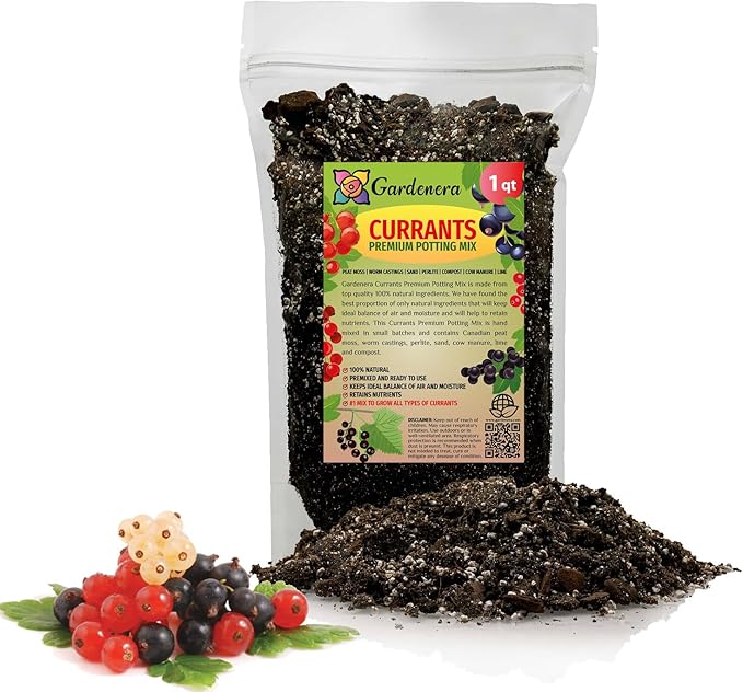 Gardenera Premium Currant Plant Potting Soil Mix - Optimal Nutrient-Rich Blend for Thriving and Juicy Currants - 1 Quart