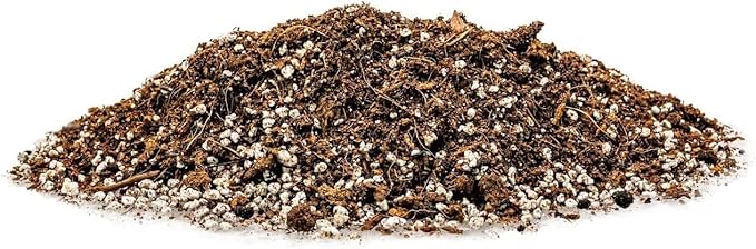 Nourish Your Spearmint with Gardenera's Organic Potting Mix - Tailored for Vibrant Spearmint Plants and Aromatic Leaves - 2 Quart