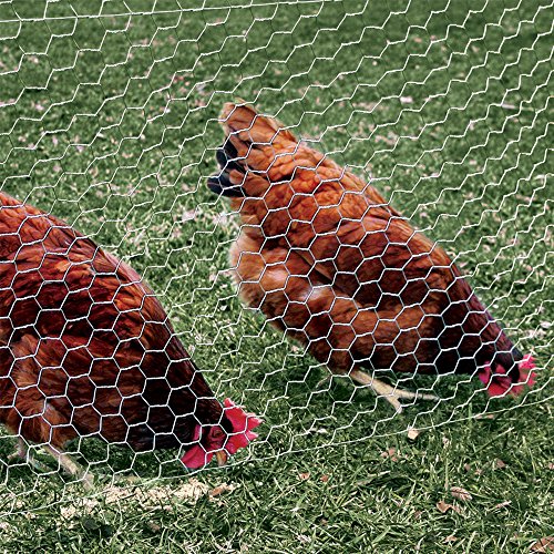 YARDGARD – 1 Inch Twisted Mesh Wire Fence – 72 Inches by 50 Feet – 20 Gauge Galvanized Steel – for Chicken Coops | Poultry Netting | Garden Protection | Rabbit Fencing - size: 72 Inches x 50 Feet