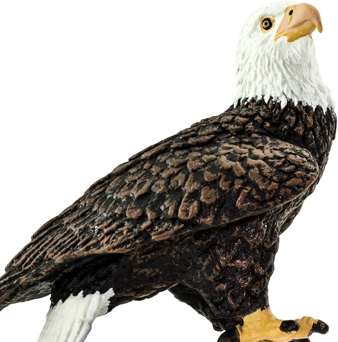 Safari Ltd. Bald Eagle Figurine - Realistic 2.4" Bird Figure - Educational Toy for Boys, Girls, and Kids Ages 3+