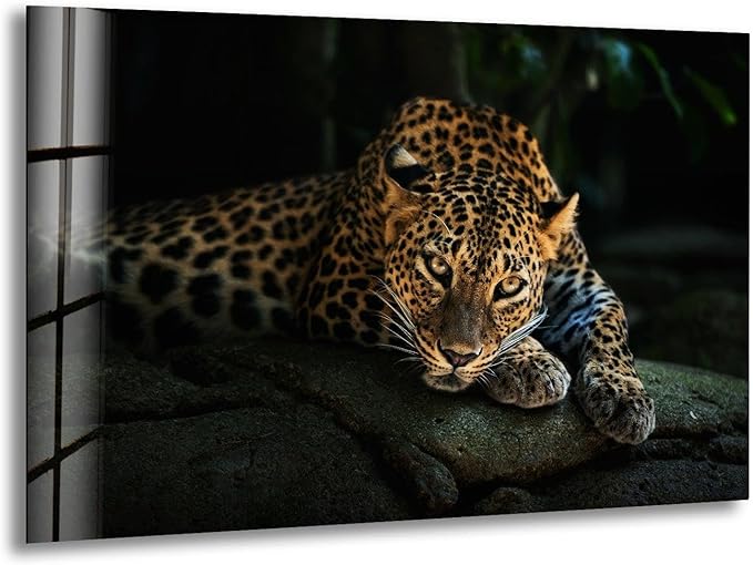 My Photostation.com 48Wx32H'' Fierce Leopard Glass Wall ArtTempered Glass Printing Wall Decor Large Wall Art Wall Hangings