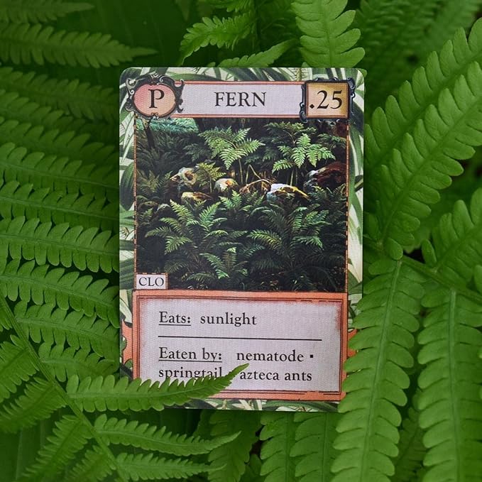 Ecologies: Hidden Habitats - Use Science to Build Food Webs in 7 Biomes - Beautiful Vintage Nature Art for The Classroom or Game Night
