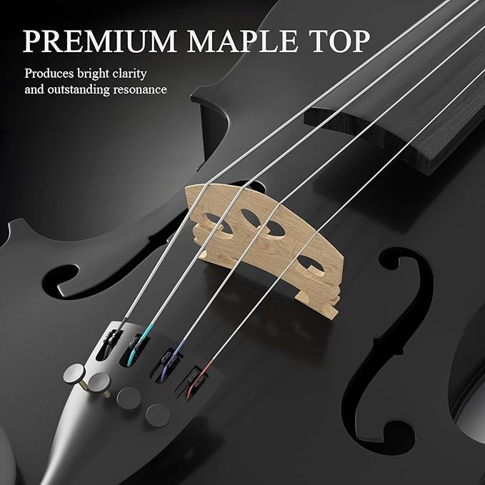 3/4 Beginner Violin Kit,Complete Violin Set with Case, Bow, Rosin,Black