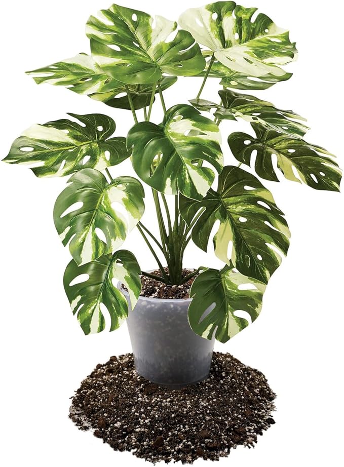 Premium Aroid Potting Mix - Soil Free Blend for Aroids - Growing Medium for House Plants by Gardenera - (4 Quart Bag)