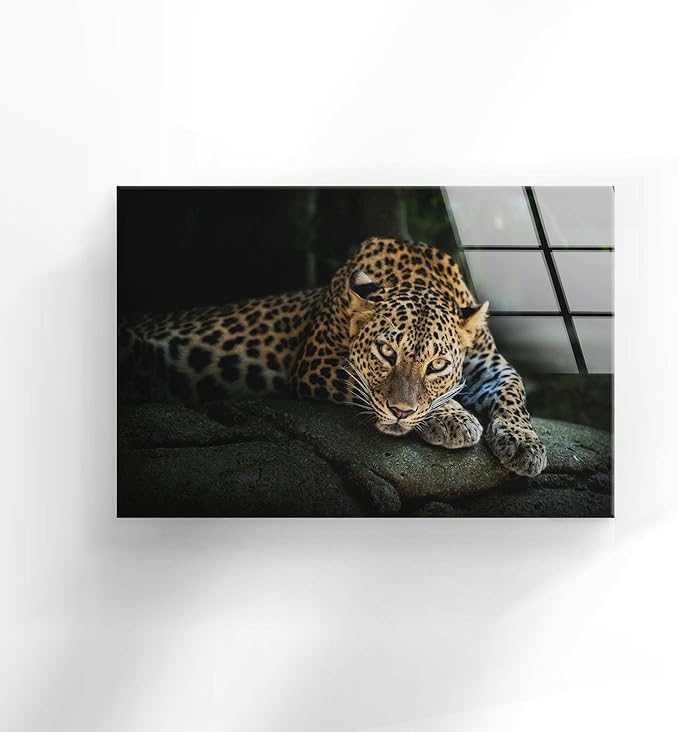 My Photostation.com 48Wx32H'' Fierce Leopard Glass Wall ArtTempered Glass Printing Wall Decor Large Wall Art Wall Hangings