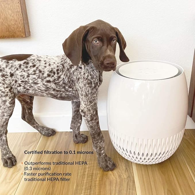 Avari EG Air Purifier Made in Korea. 4-Stage Embossed HEPA Filter Technology, Pre-Filter, Carbon Deodorizer, LED Sanitizer. AHAM & ECARF, ETL, CARB Tested and Certified