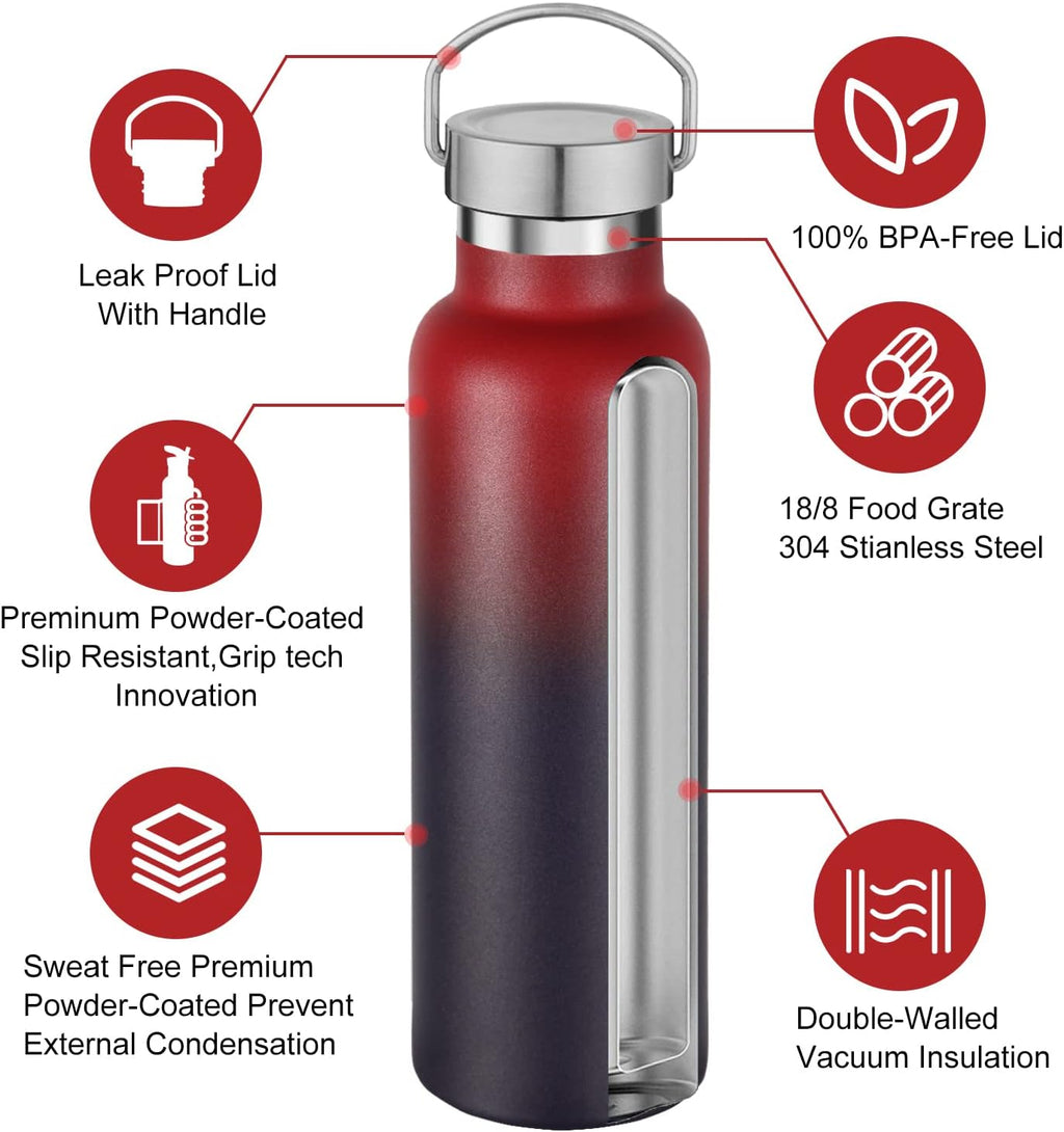 Neihepal 20 oz Insulated Water Bottles Bulk 2 Pack,Stainless Steel Double Wall Sport Bottle with Lid of Handle,Metal Reusable Thermoses Flask for School,Cyclists,Hikers,Gift (Assorted,Set of 2)