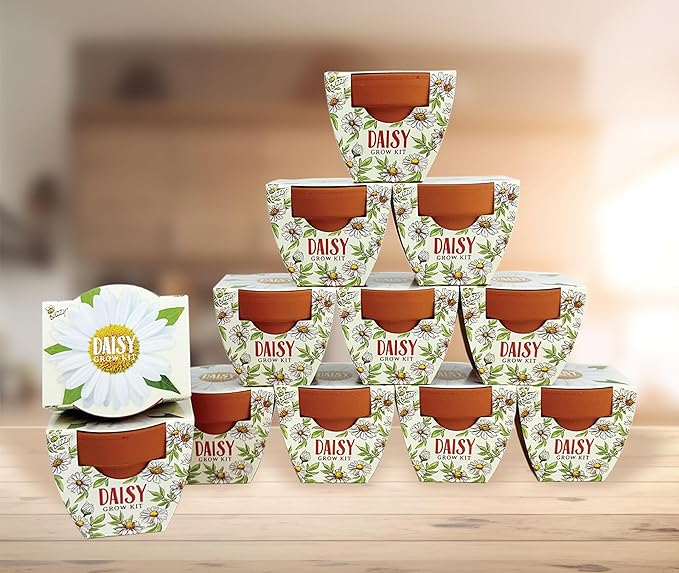 BUZZY Seeds Daydream Mini Terracotta Pots 12-Pack with Daisy Seed Packets – All-in-One Starter Set with Growing Medium and Easy Instructions, Gardening Gift, Wedding Favors, Corporate Gifting