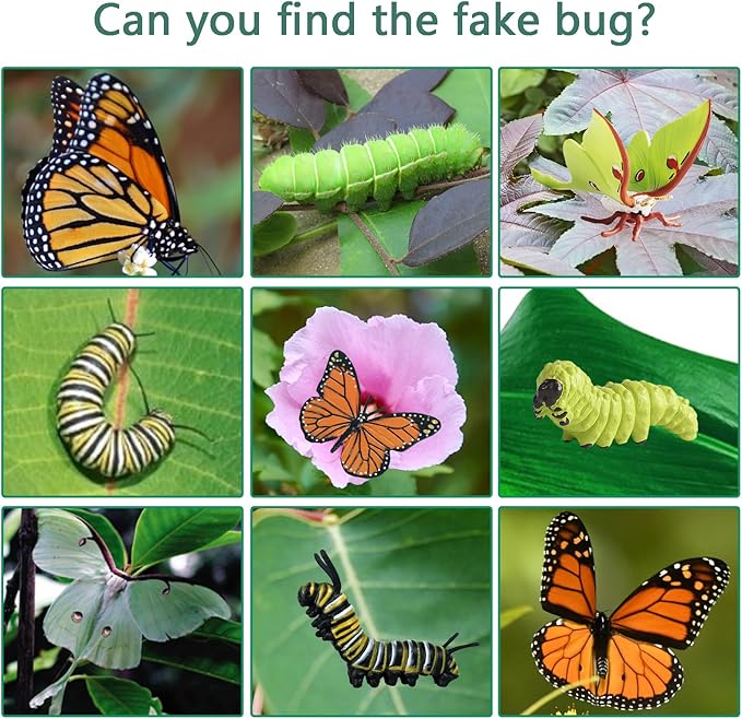 8PCS Life Cycle Figurines of Monarch Butterfly and Actias Ningpoana, Realistic Education Insects Life Cycle Toys, Caterpillar to Butterfly Kit Growth Life Stages Figures for Learning and Teaching Aids