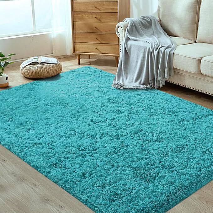 4x6 Area Rug for Living Room: Fluffy Shag Soft Washable Rugs Fuzzy Plush Indoor Carpet for Bedroom Nursery Playroom Dorm Kids Girls Boys Room (Teal Blue, 4'x6')