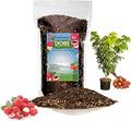 GARDENERA Premium Lychee Potting Soil Mix - Perfect Balance of Nutrients, Drainage, and Aeration for Thriving Lychee Trees - 5 Quart