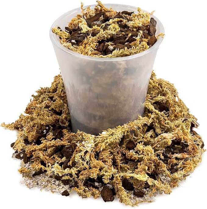 Premium Sphagnum Moss, Perlite and New Zealand Pine Bark Blend for Carnivorous Plants - Perfect for Venus Fly Traps, Pitcher Plants, Sarracenia, Butterworts, and Sundews by GARDENERA - 2 Quart Bag