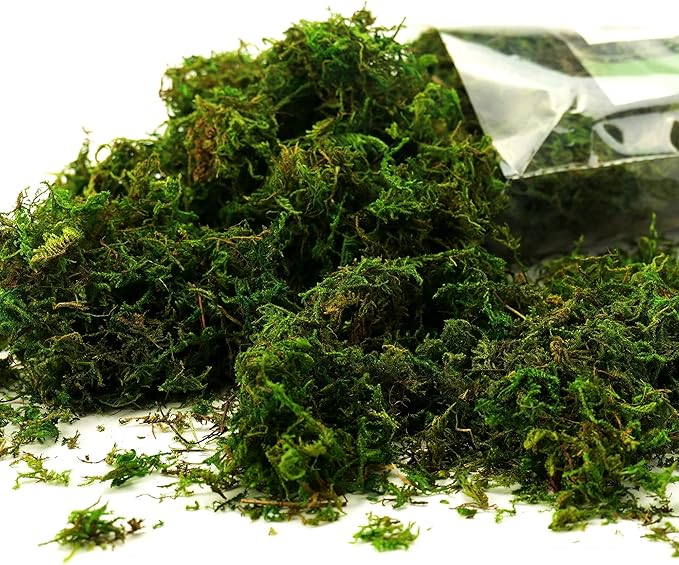 Moss for Plants Indoor, 16OZ Fresh Green Artificial Moss for DIY Crafts, Table Centerpieces- Faux Grass for Hamsters Micro-Landscape Terrariums Centerpieces Decor (Fresh Green)
