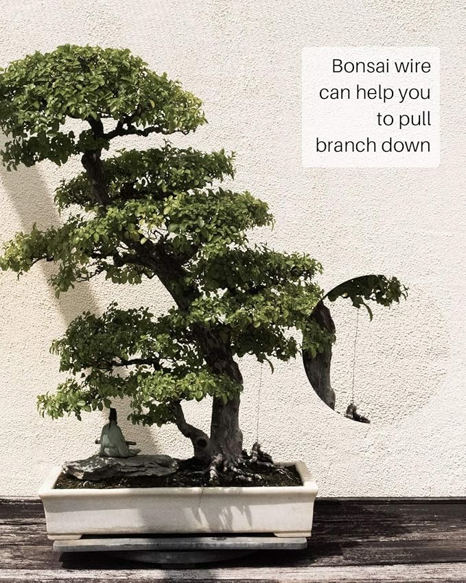 MoHern Bonsai Wire and Bonsai Tool Kit, Total 164 Feet Bonsai Tree Wire for Bonzai Trees Indoor, Size of 1-mm, 1.5-mm, 2-mm Aluminum Wire
