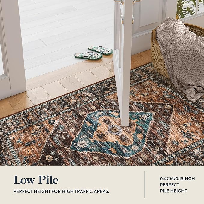 Lahome Door Rugs for Entryway Indoor - 2x3 Washable Stain Resistant Kitchen Rug Rubber Backing Ultra-Thin Small Door Mats Indoor Entrance, Vintage Print Throw Rug for Bathroom Bedroom