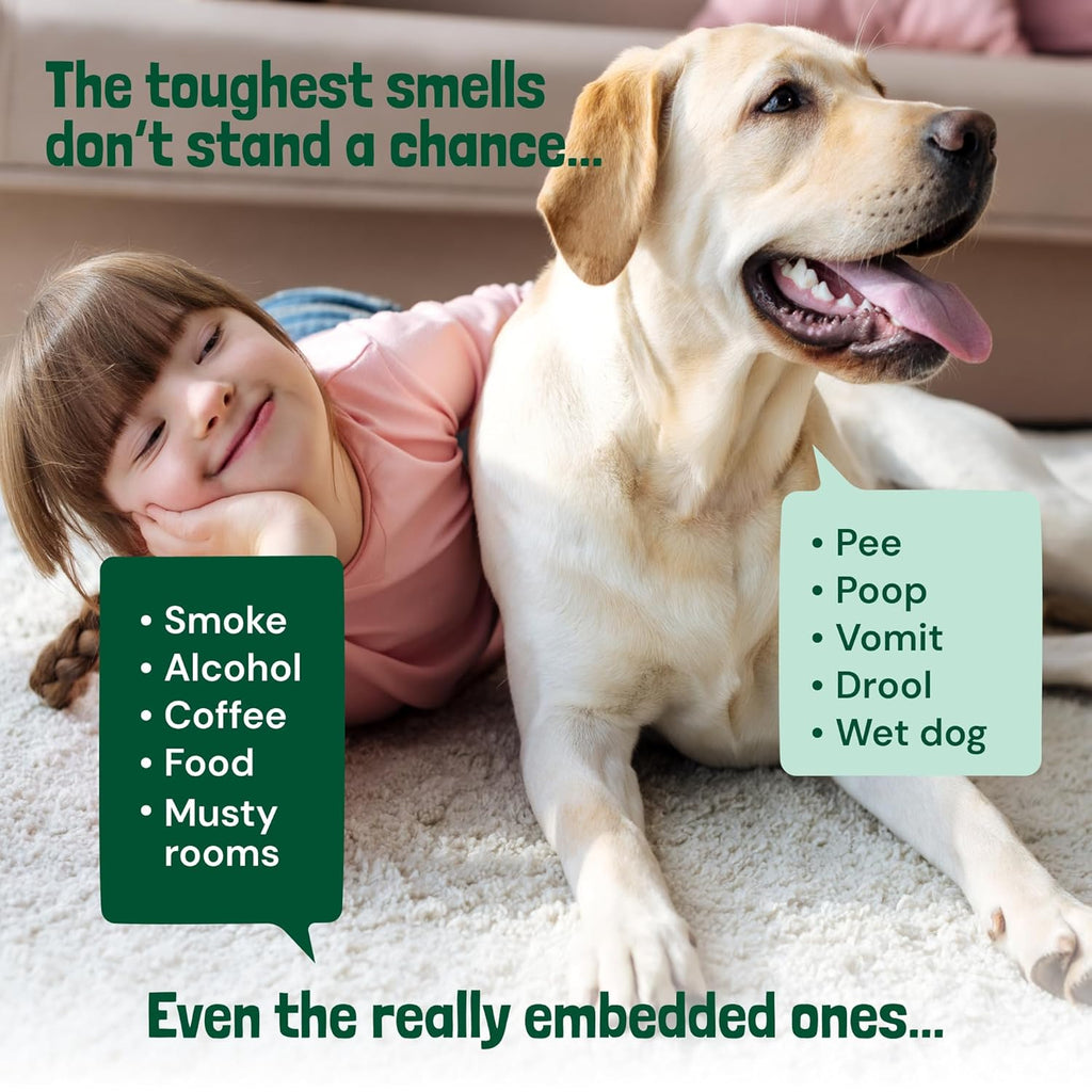 Sunny & Honey Carpet Deodorizer Powder - 20 Oz, Summer Lemonade Scent - Rug Cleaner & Carpet Cleaning Powder for Vacuuming & Upholstery Freshener for Pets & Kids